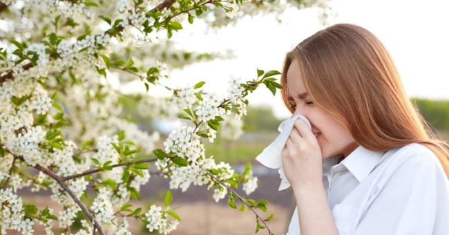 Alergia nos olhos: causas, sintomas, tratamentos e conselhos