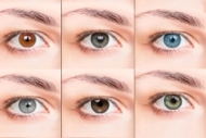 Cor dos olhos refletem a personalidade