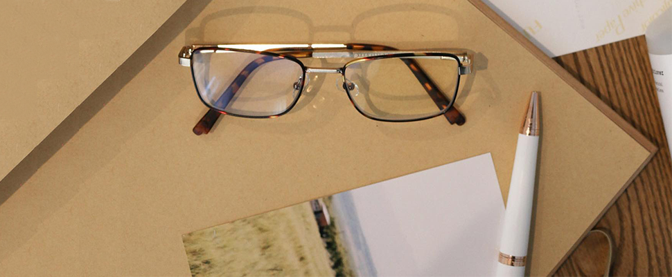 Óculos de Leitura: Metallic Aneto 
