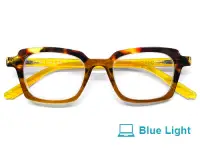 Colibri Havana & Brown
