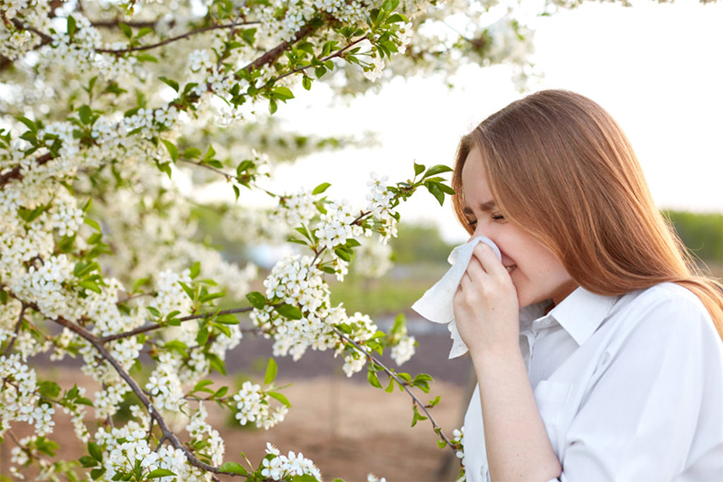 Alergia nos olhos: causas, sintomas, tratamentos e conselhos