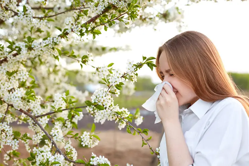 Alergia nos olhos: causas, sintomas, tratamentos e conselhos Alergia nos olhos: causas, sintomas, tratamentos e conselhos