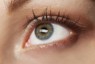Ceratite: lesões oculares